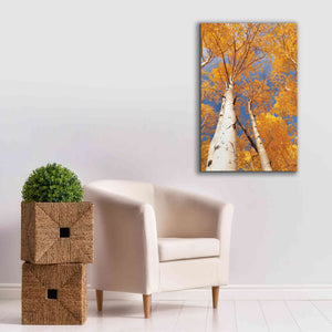 'Aspen I' by Lori Deiter, Canvas Wall Art,26 x 40