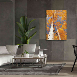 'Aspen I' by Lori Deiter, Canvas Wall Art,40 x 60