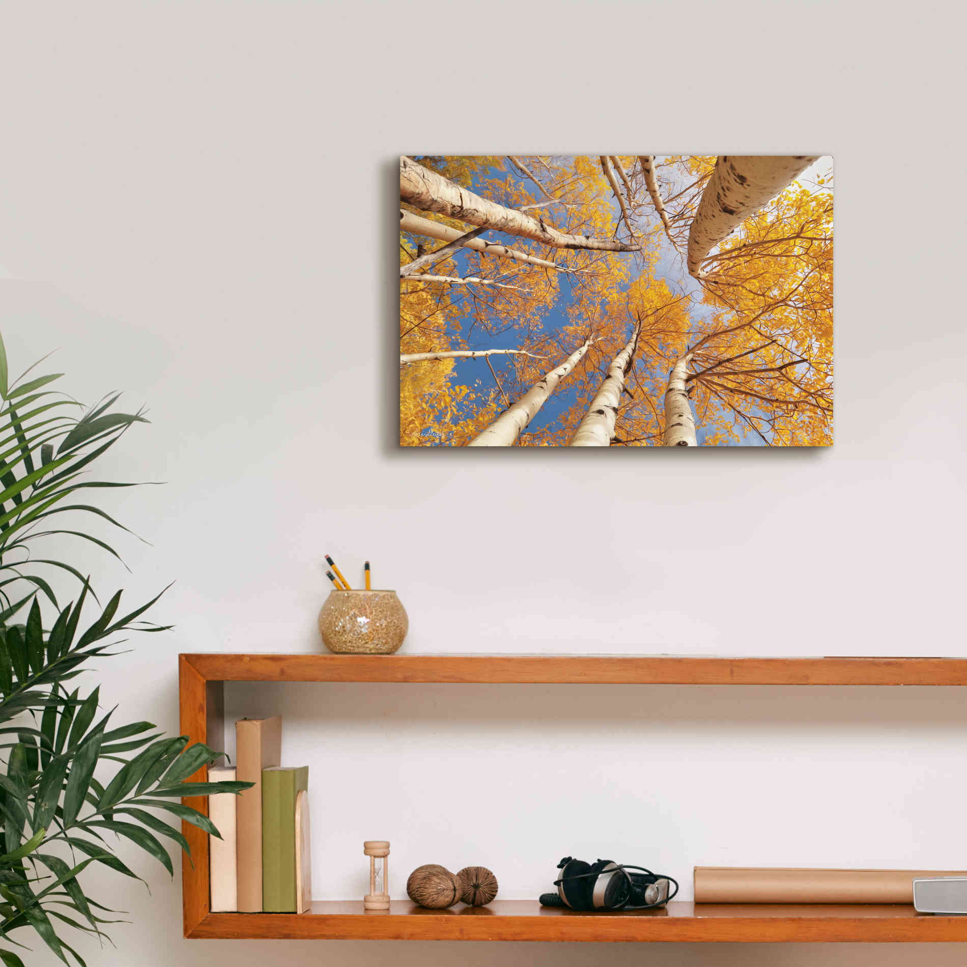 'Aspen II' by Lori Deiter, Canvas Wall Art,18 x 12