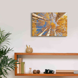 'Aspen II' by Lori Deiter, Canvas Wall Art,18 x 12