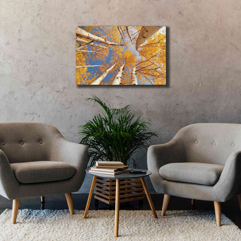 Image of 'Aspen II' by Lori Deiter, Canvas Wall Art,40 x 26