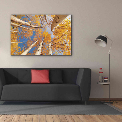 Image of 'Aspen II' by Lori Deiter, Canvas Wall Art,60 x 40