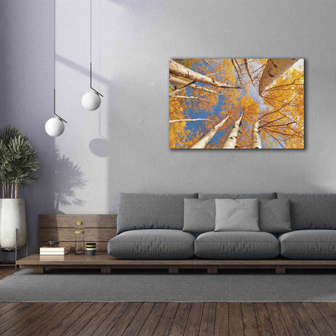 Image of 'Aspen II' by Lori Deiter, Canvas Wall Art,60 x 40
