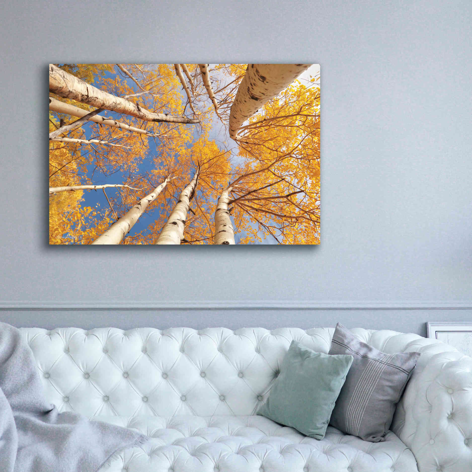 'Aspen II' by Lori Deiter, Canvas Wall Art,60 x 40