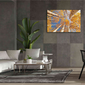 'Aspen II' by Lori Deiter, Canvas Wall Art,60 x 40