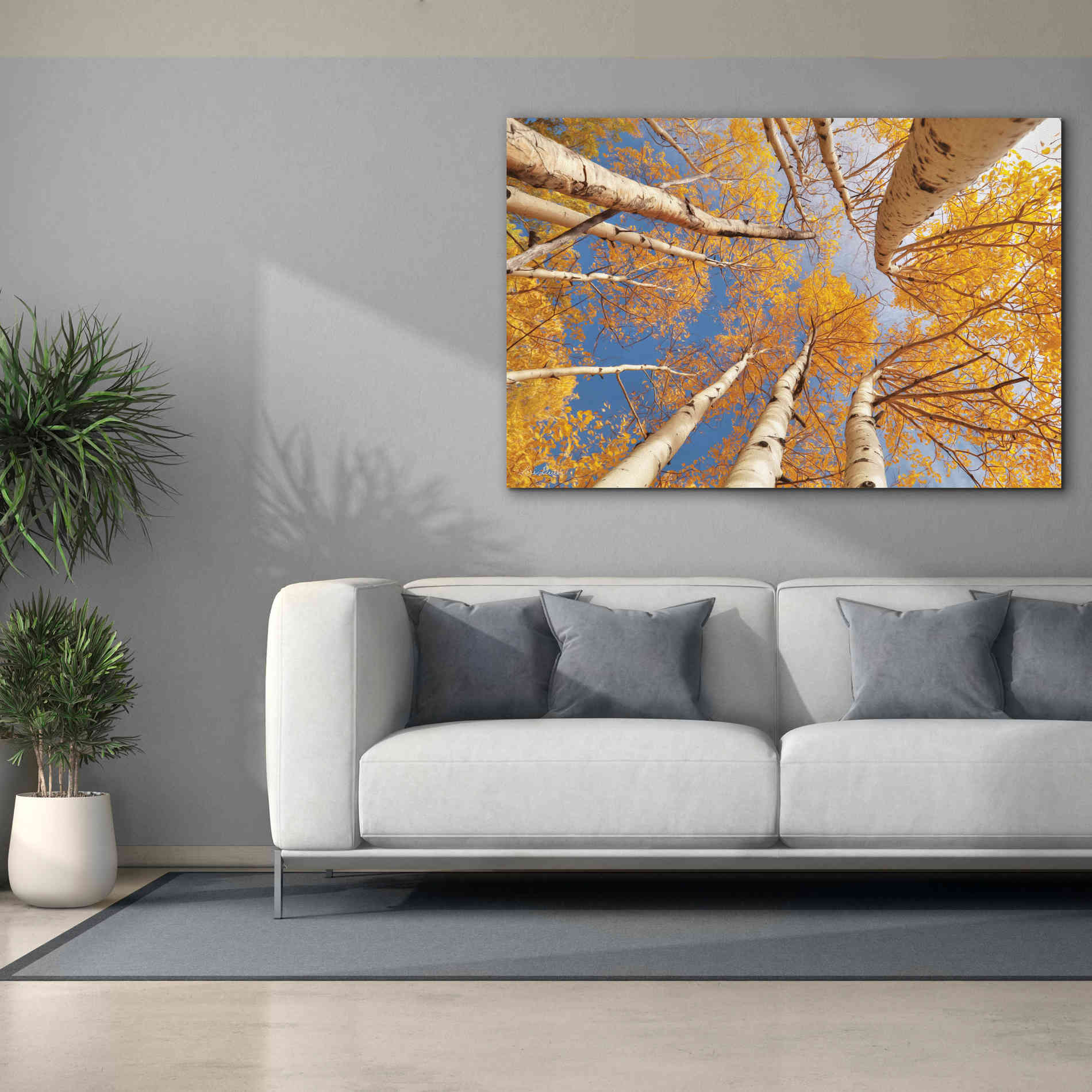 'Aspen II' by Lori Deiter, Canvas Wall Art,60 x 40