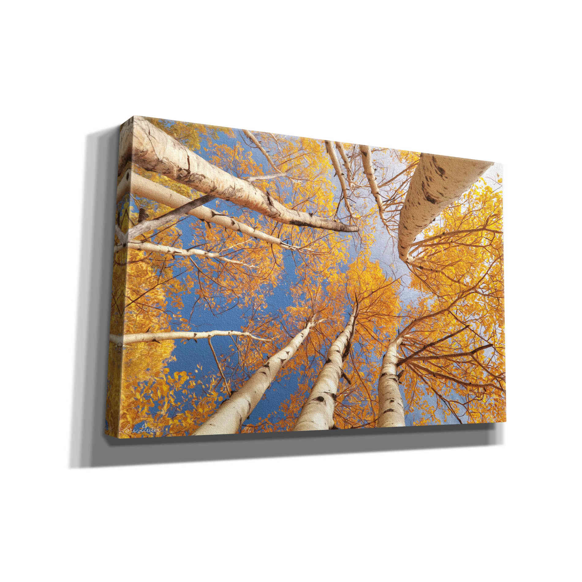 'Aspen II' by Lori Deiter, Canvas Wall Art