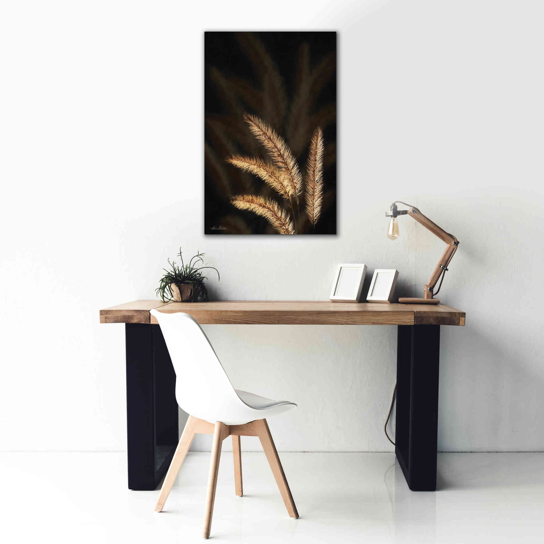 'Golden Grass I' by Lori Deiter, Canvas Wall Art,26 x 40