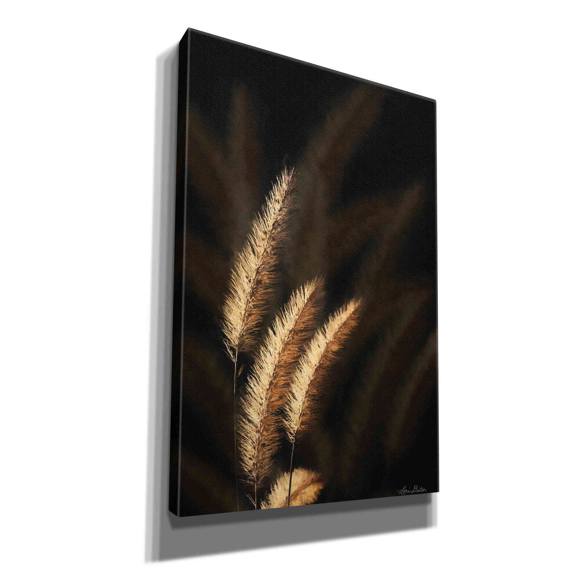 'Golden Grass III' by Lori Deiter, Canvas Wall Art