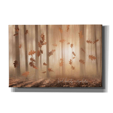 Image of 'Find Beauty Everywhere' by Lori Deiter, Canvas Wall Art