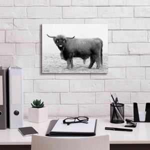 'Scotty the Bull' by Lori Deiter, Canvas Wall Art,16 x 12