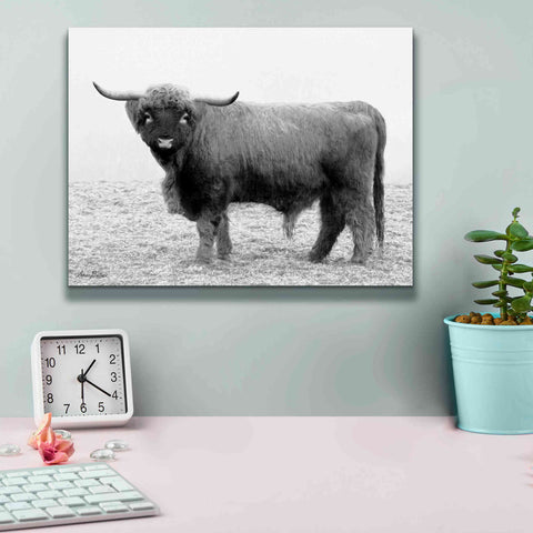 Image of 'Scotty the Bull' by Lori Deiter, Canvas Wall Art,16 x 12