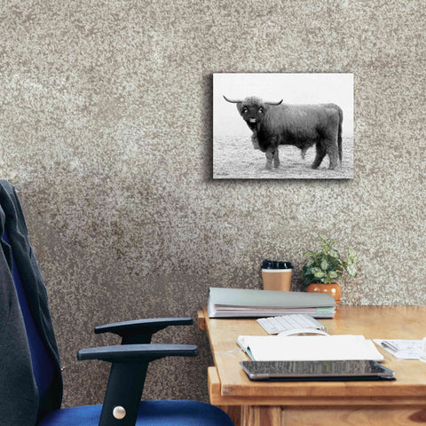 Image of 'Scotty the Bull' by Lori Deiter, Canvas Wall Art,16 x 12