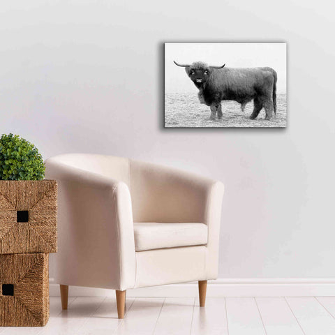 Image of 'Scotty the Bull' by Lori Deiter, Canvas Wall Art,26 x 18