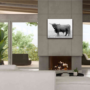 'Scotty the Bull' by Lori Deiter, Canvas Wall Art,34 x 26