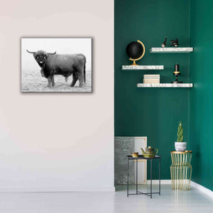 'Scotty the Bull' by Lori Deiter, Canvas Wall Art,34 x 26