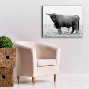 'Scotty the Bull' by Lori Deiter, Canvas Wall Art,34 x 26
