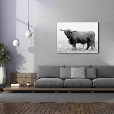 Image of 'Scotty the Bull' by Lori Deiter, Canvas Wall Art,54 x 40