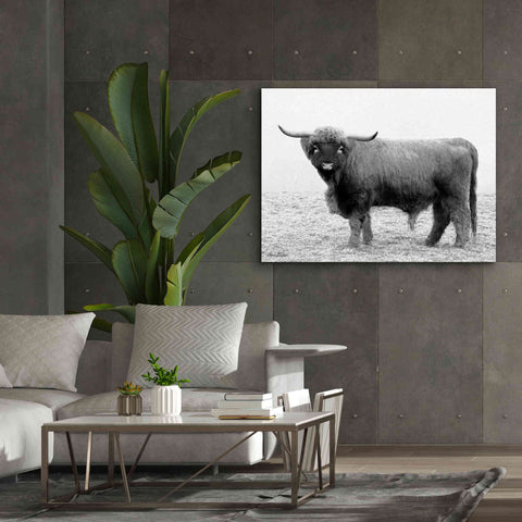 Image of 'Scotty the Bull' by Lori Deiter, Canvas Wall Art,54 x 40