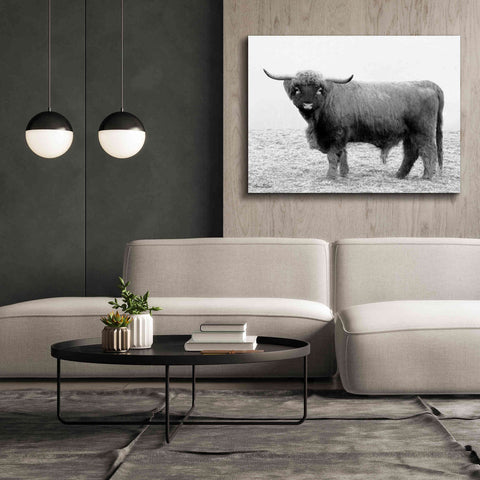 Image of 'Scotty the Bull' by Lori Deiter, Canvas Wall Art,54 x 40