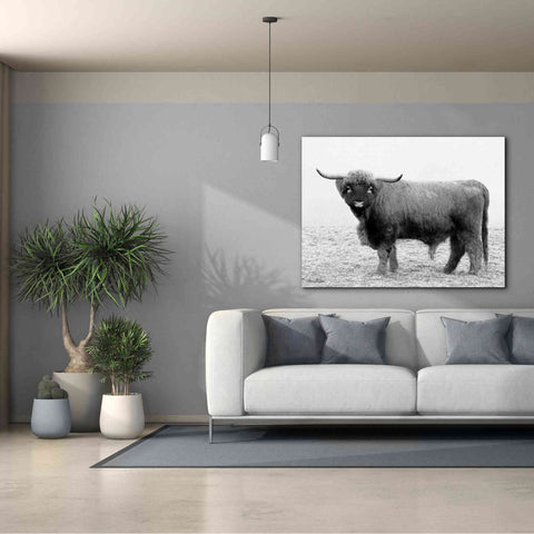 Image of 'Scotty the Bull' by Lori Deiter, Canvas Wall Art,54 x 40