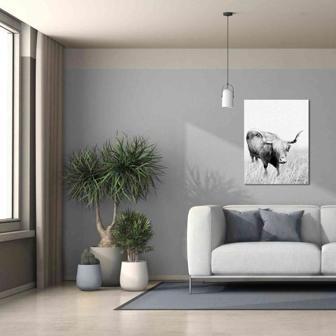 Image of 'Kiss My Hairy Face' by Lori Deiter, Canvas Wall Art,26 x 34