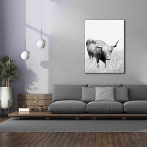 'Kiss My Hairy Face' by Lori Deiter, Canvas Wall Art,40 x 54