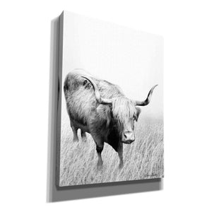 'Kiss My Hairy Face' by Lori Deiter, Canvas Wall Art