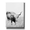'Kiss My Hairy Face' by Lori Deiter, Canvas Wall Art
