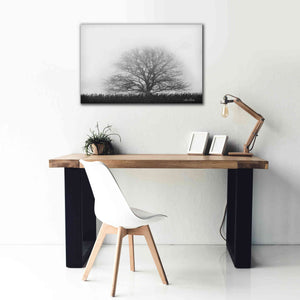 'Foggy Old Tree' by Lori Deiter, Canvas Wall Art,40 x 26
