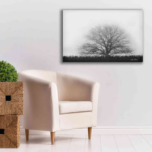 'Foggy Old Tree' by Lori Deiter, Canvas Wall Art,40 x 26