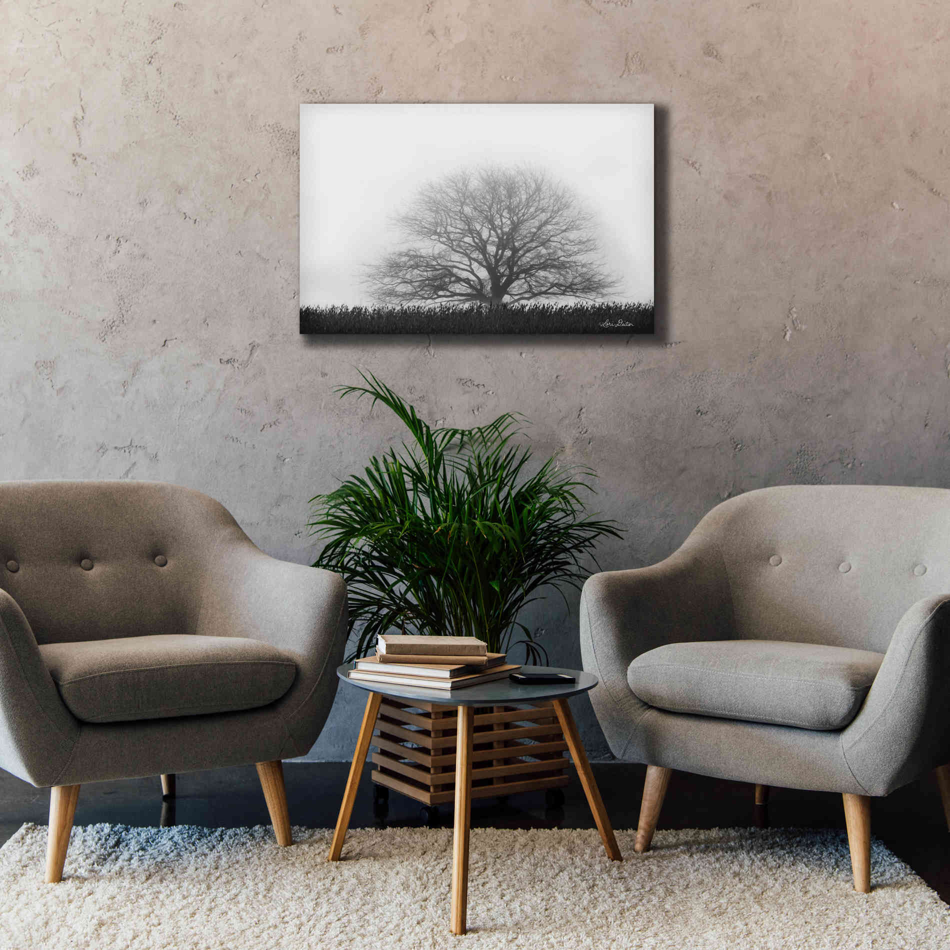 'Foggy Old Tree' by Lori Deiter, Canvas Wall Art,40 x 26