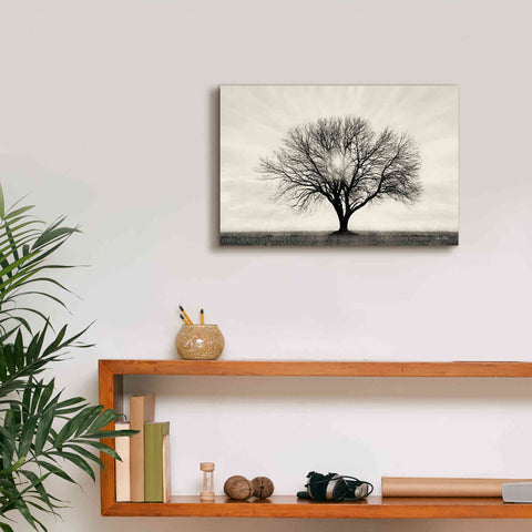 Image of 'Grow in Different Directions' by Lori Deiter, Canvas Wall Art,18 x 12