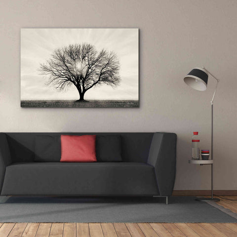 Image of 'Grow in Different Directions' by Lori Deiter, Canvas Wall Art,60 x 40