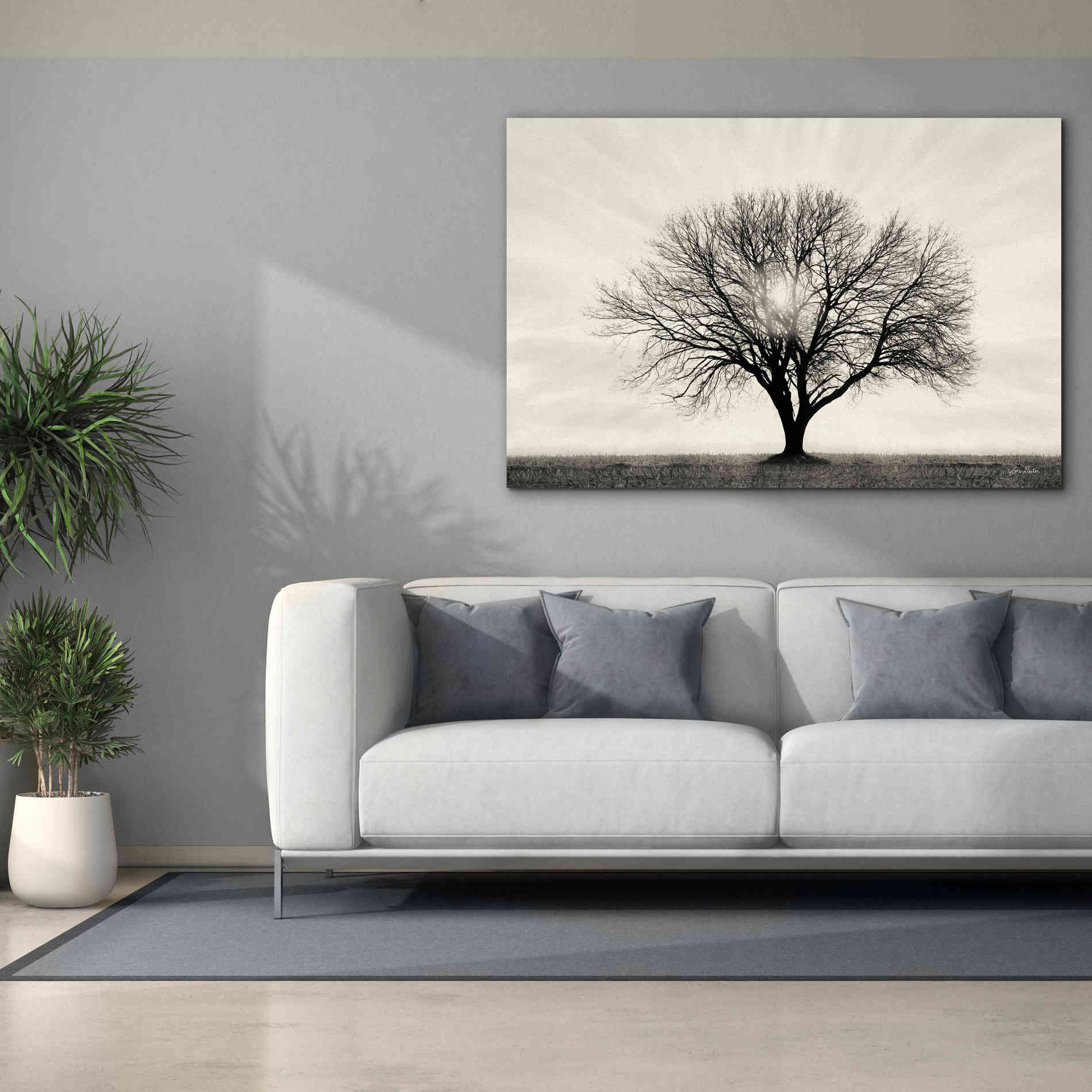 'Grow in Different Directions' by Lori Deiter, Canvas Wall Art,60 x 40