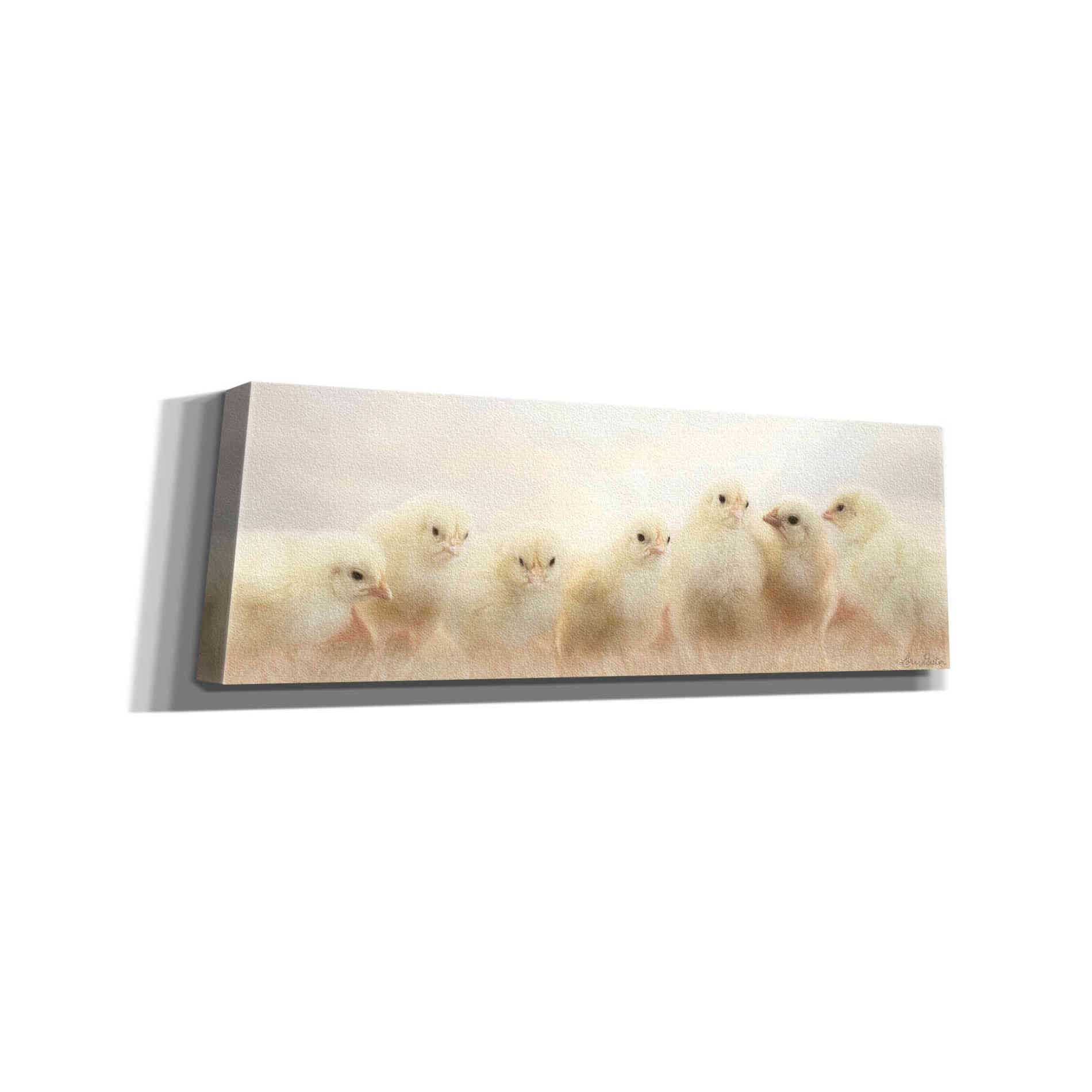'Spring Line Up' by Lori Deiter, Canvas Wall Art