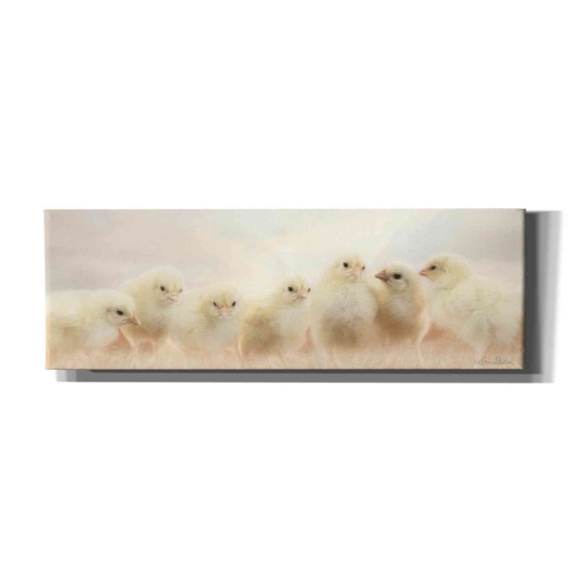'Spring Line Up' by Lori Deiter, Canvas Wall Art