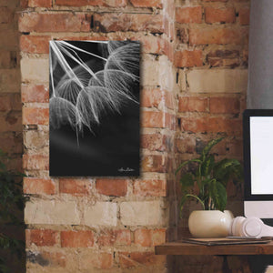 'Goatsbeard I' by Lori Deiter, Canvas Wall Art,12 x 18