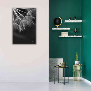 'Goatsbeard I' by Lori Deiter, Canvas Wall Art,26 x 40