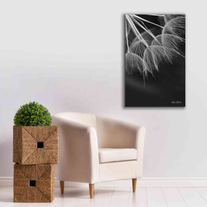 'Goatsbeard I' by Lori Deiter, Canvas Wall Art,26 x 40