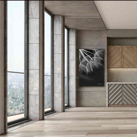 Image of 'Goatsbeard I' by Lori Deiter, Canvas Wall Art,40 x 60