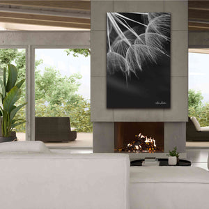 'Goatsbeard I' by Lori Deiter, Canvas Wall Art,40 x 60