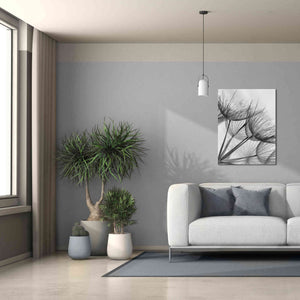 'Goatsbeard II' by Lori Deiter, Canvas Wall Art,26 x 34