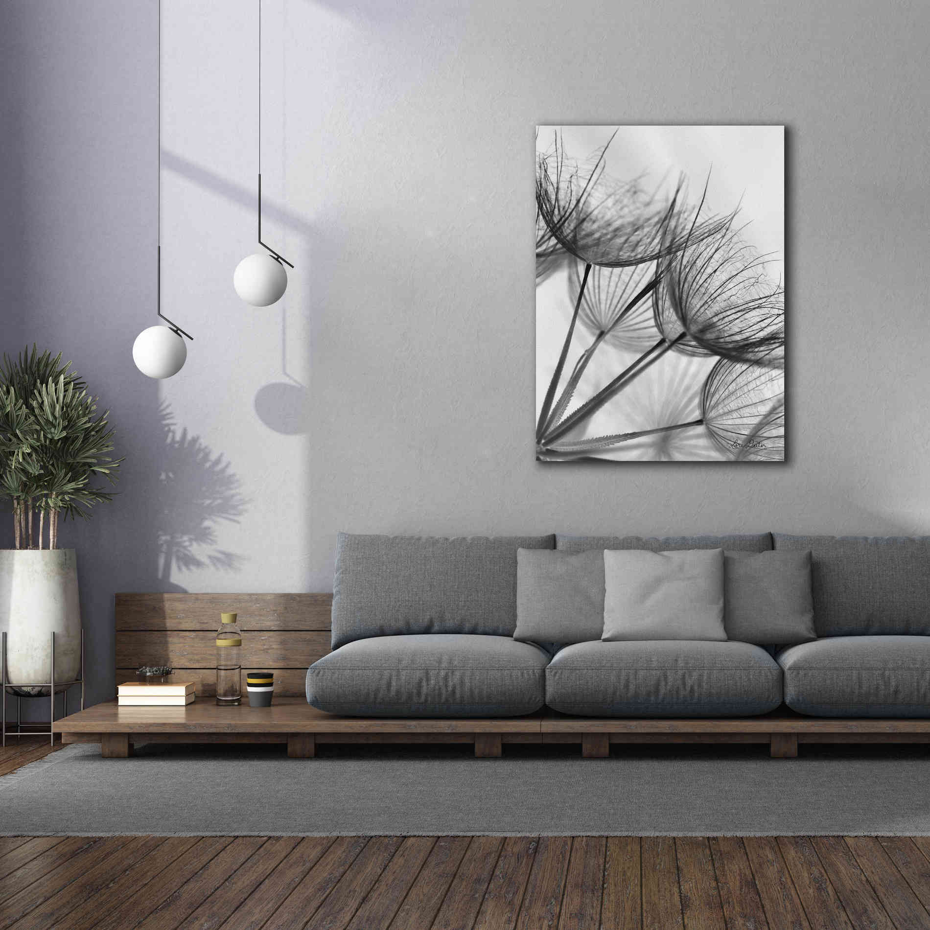 'Goatsbeard II' by Lori Deiter, Canvas Wall Art,40 x 54