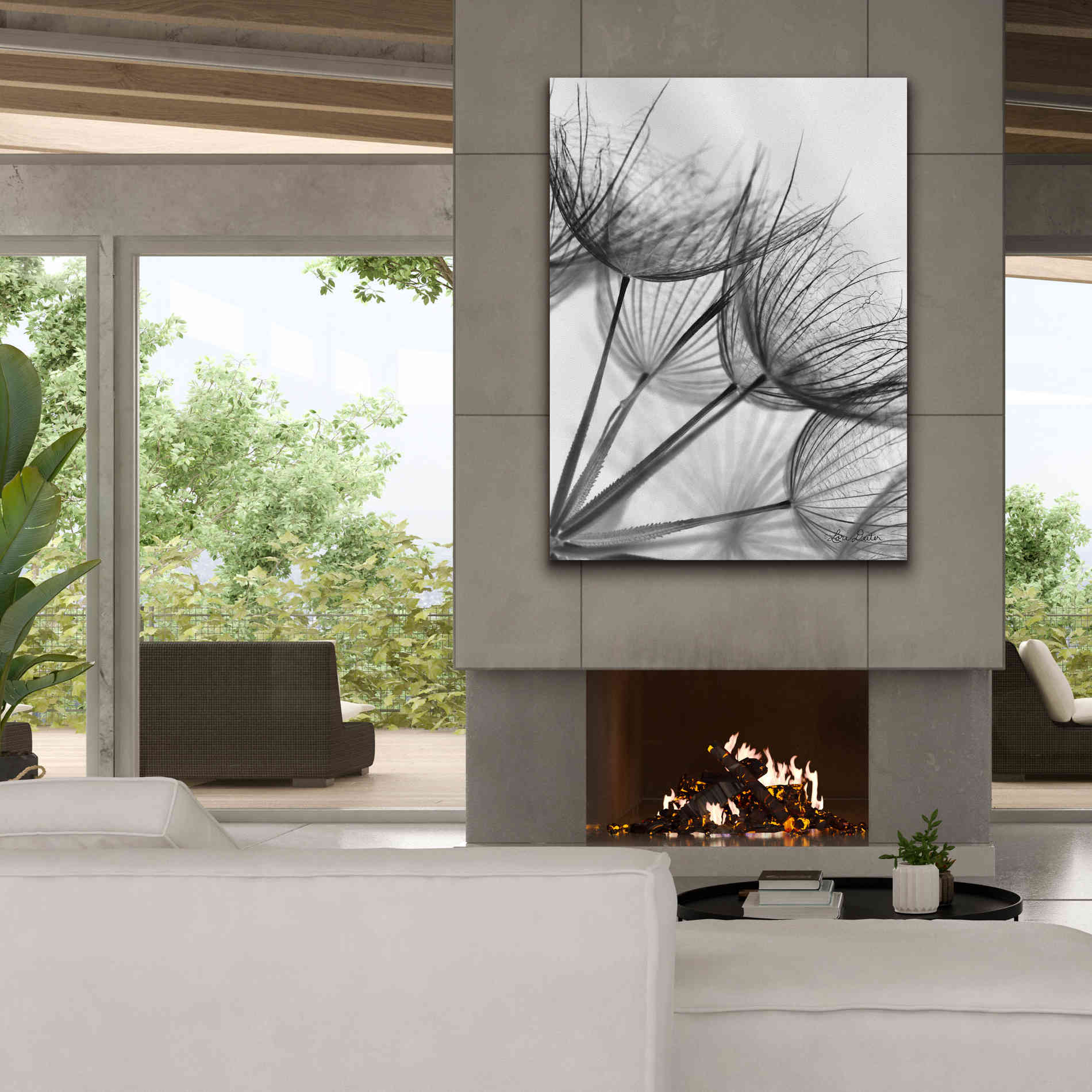 'Goatsbeard II' by Lori Deiter, Canvas Wall Art,40 x 54