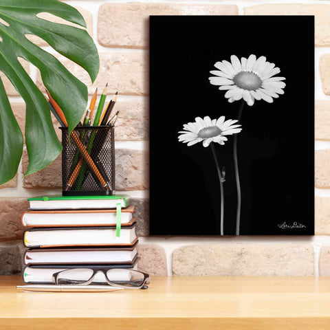 Image of 'Pair of Daisies' by Lori Deiter, Canvas Wall Art,12 x 16