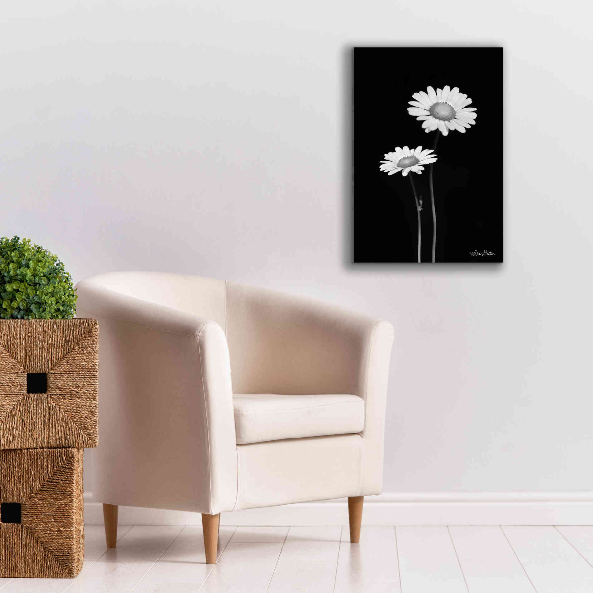 'Pair of Daisies' by Lori Deiter, Canvas Wall Art,18 x 26