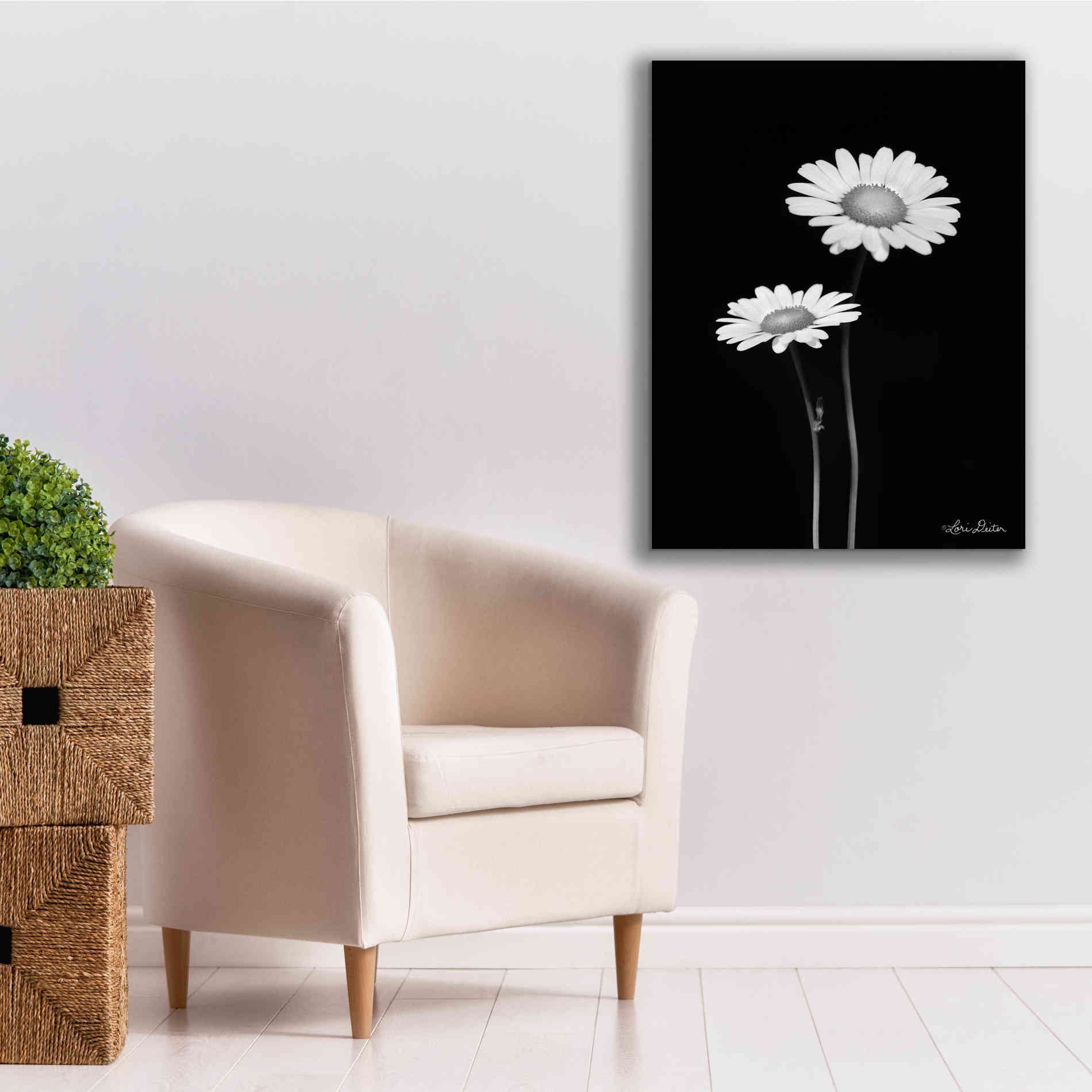 'Pair of Daisies' by Lori Deiter, Canvas Wall Art,26 x 34