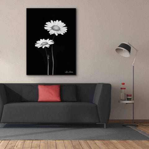 Image of 'Pair of Daisies' by Lori Deiter, Canvas Wall Art,40 x 54