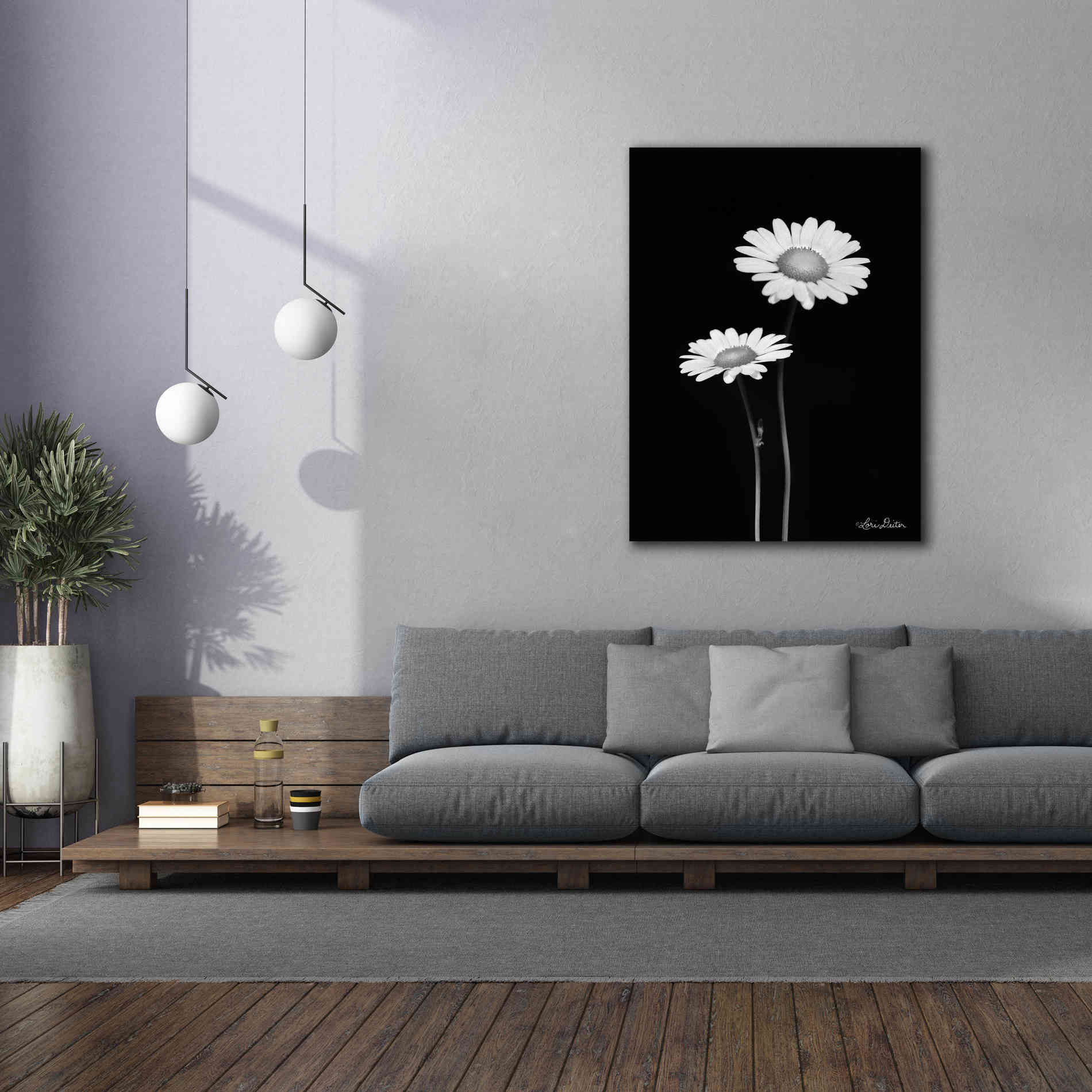 'Pair of Daisies' by Lori Deiter, Canvas Wall Art,40 x 54